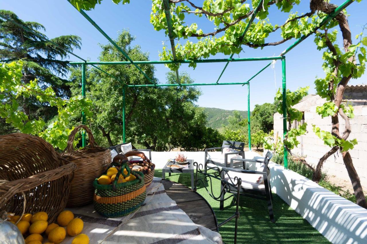 Villa Ferulas 오리에나 외부 사진