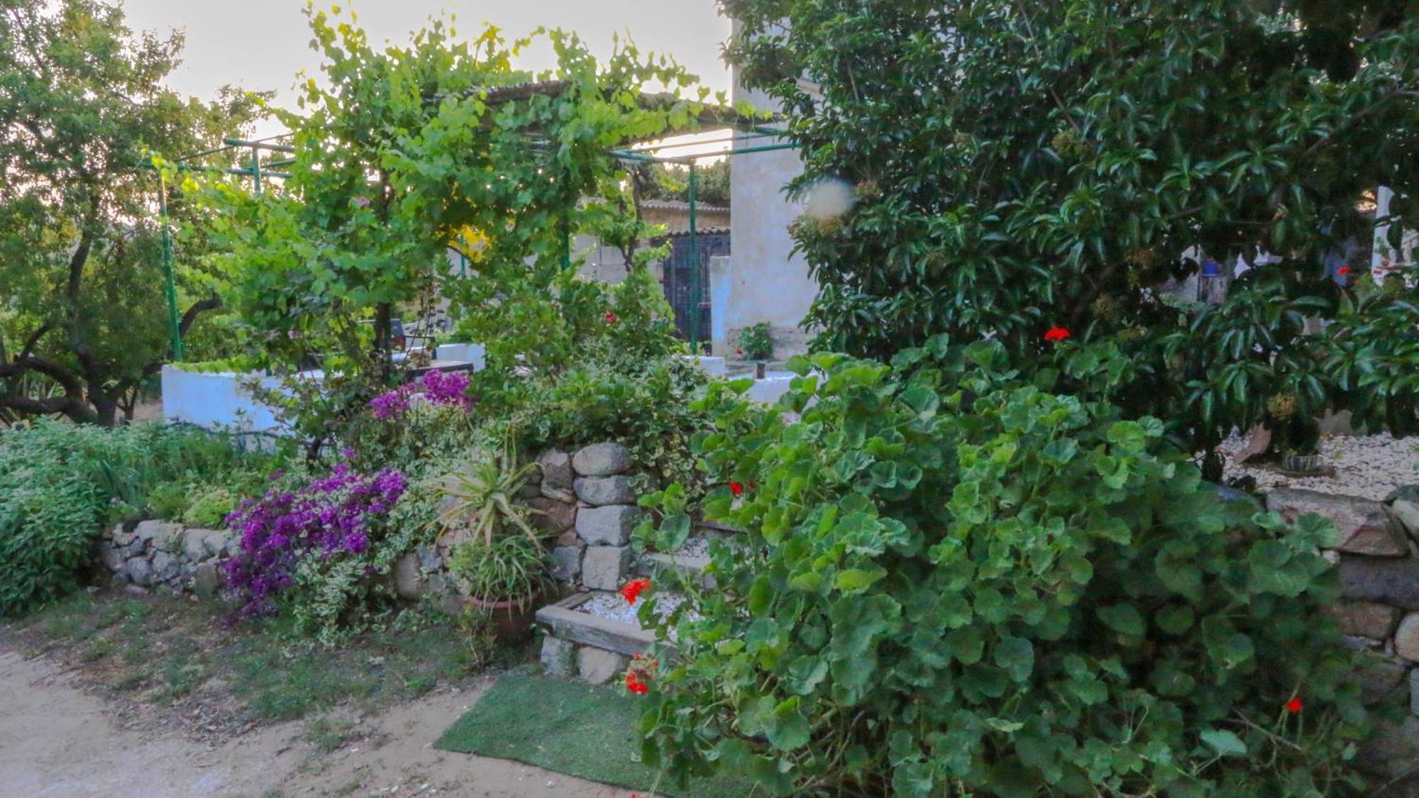 Villa Ferulas 오리에나 외부 사진